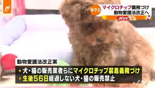 真正有用的人际交往技能