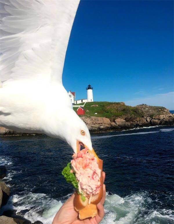 女子在被迫与特朗普相处了一周后选择辞职