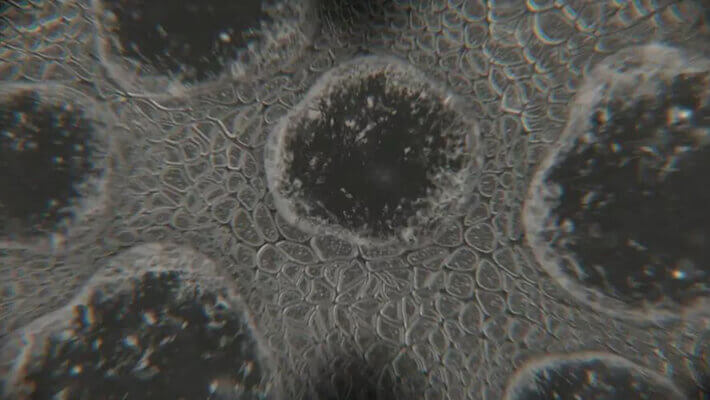 血疫 第一季 The Hot Zone Season 1 (2019)