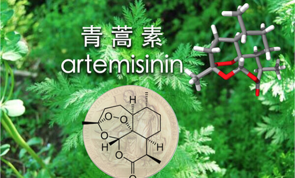 人生中不可不想的事