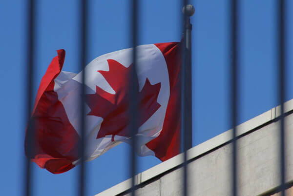 永远不会让你们失望