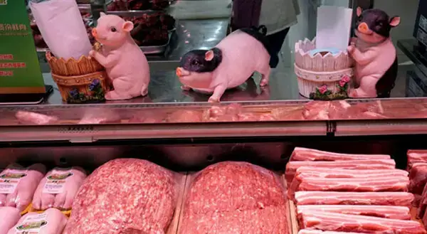 “操场埋尸案”的感受:首位还是学习吧