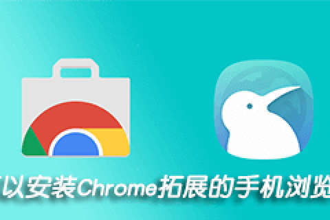 Kiwi Browser:可安装插件的手机浏览器