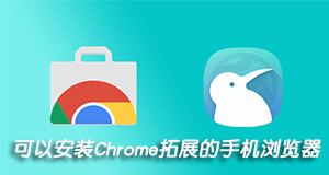 Kiwi Browser:可安装插件的手机浏览器