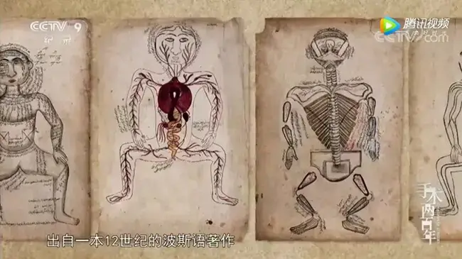 手术两百年/8集全/1080P