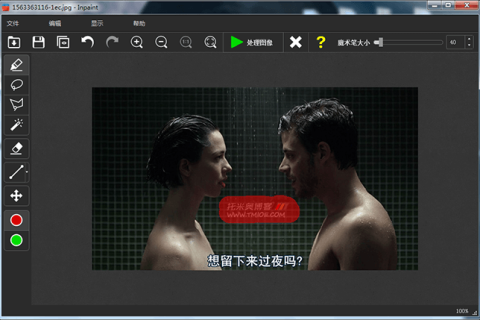图片去水印软件：Teorex Inpaint v8.0 绿色破解版