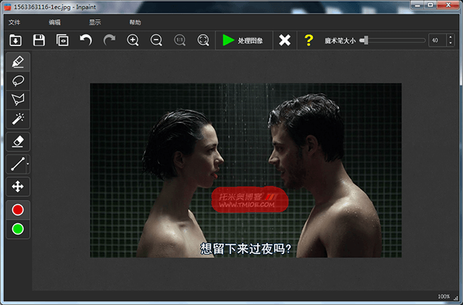 图片去水印软件：Teorex Inpaint v8.0 绿色破解版