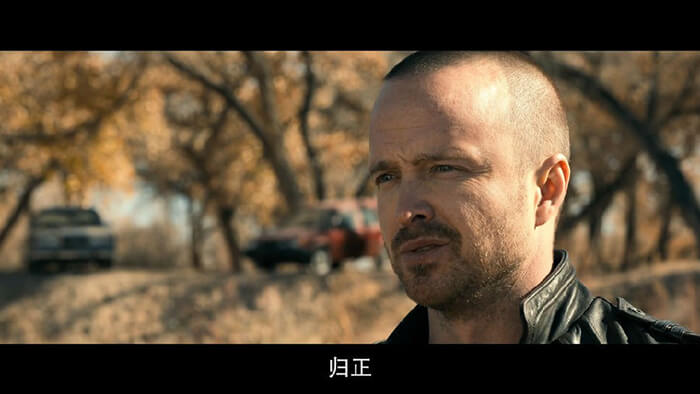 [Netflix]续命之徒：绝命毒师电影.1080P.英语中字