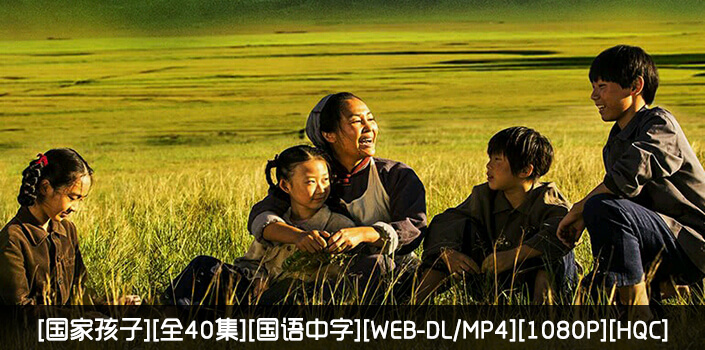 国家孩子.全40集1080P.国语中字