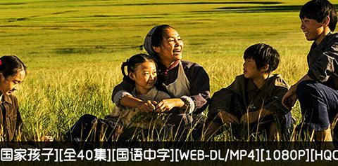国家孩子.全40集1080P.国语中字