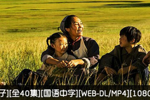 国家孩子.全40集1080P.国语中字