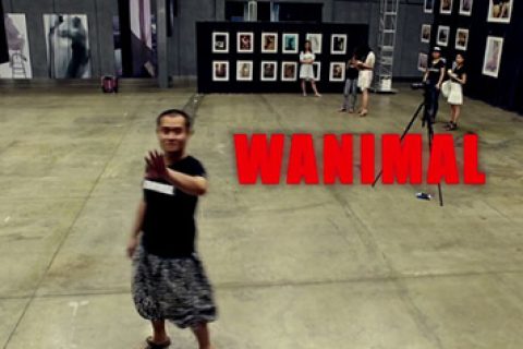 我们看 WANIMAL-王动 这样的摄影师，是艺术还是情欲？
