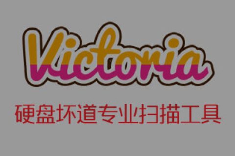 专业硬盘坏道扫描工具 Victoria 5.28 中文绿色版