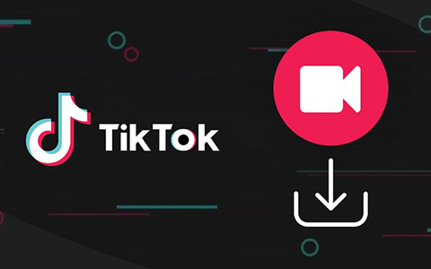 海外版抖音下载器：TikTok Downloader v3.3.5 破解版