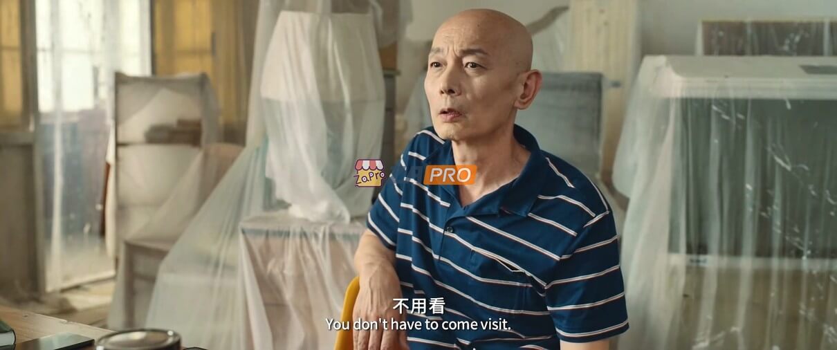 [BT/网盘/磁力]我和我的家乡.HD1080P.国语中英字幕 (2020)