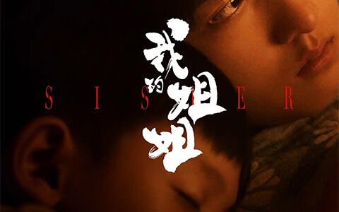 [BT/网盘/磁力]我的姐姐.HD1080P.国语中字 (2021)