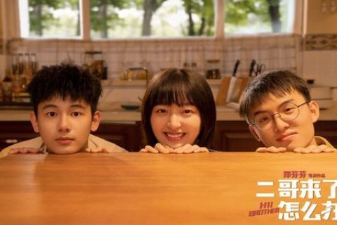 二哥来了怎么办.HD1080P.国语中字 (2021)