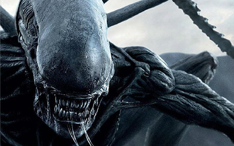 [BT/网盘/磁力]异形系列六部曲.BluRay2160P.中英双字