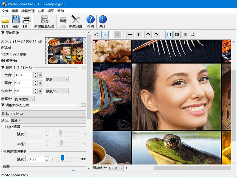BenVista PhotoZoom Pro