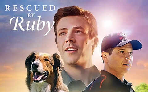 [BT/网盘/磁力]#Netflix 义犬救主 Rescued by Ruby (2022) HD1080P 英语中字