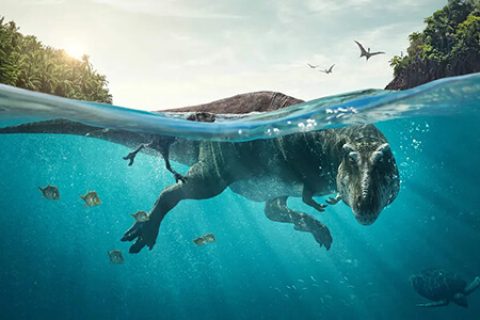 [BT/网盘/磁力]#BBC 史前星球 Prehistoric Planet (2022) HD1080P 英语中字