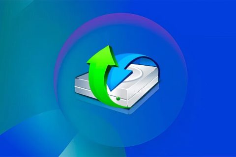 数据恢复软件：R-Studio v9.5.191686 绿色便携版