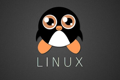 #脚本 #Linux 一键测速脚本