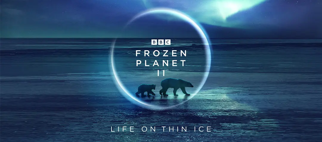 #BBC 冰冻星球 第一季/第二季 (2011~2022)