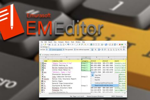EmEditor 永久激活码