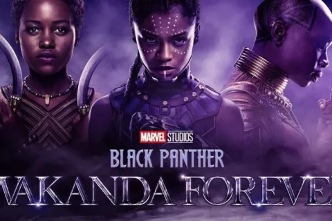 黑豹2 Black Panther: Wakanda Forever (2022) 蓝光 1080p 内嵌官方中字