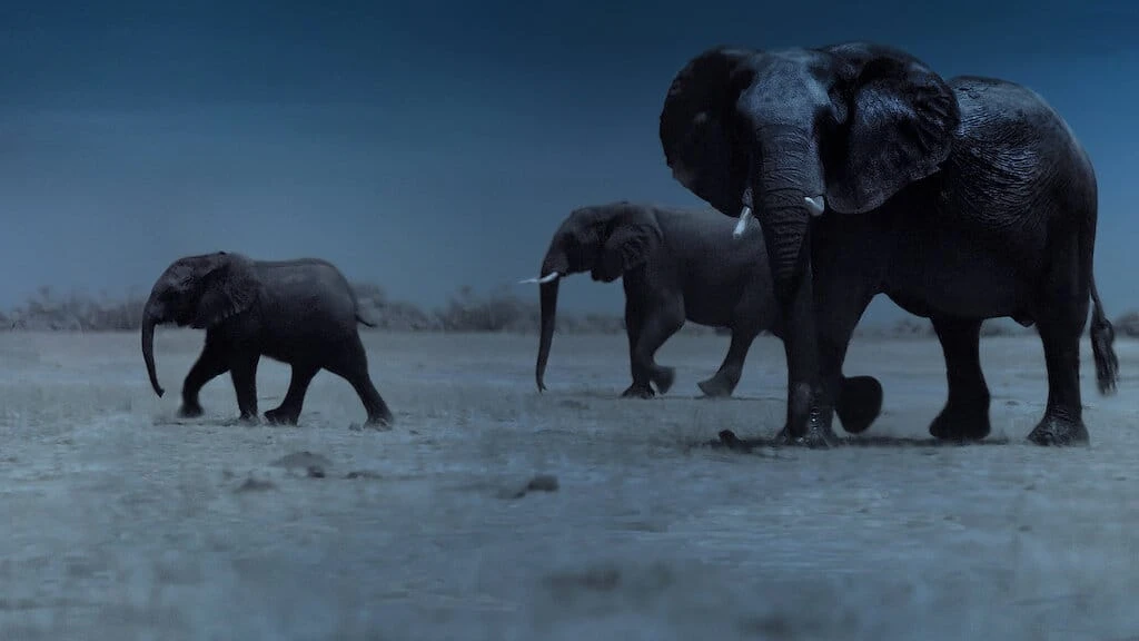 地球的夜晚 Night on Earth (2020)