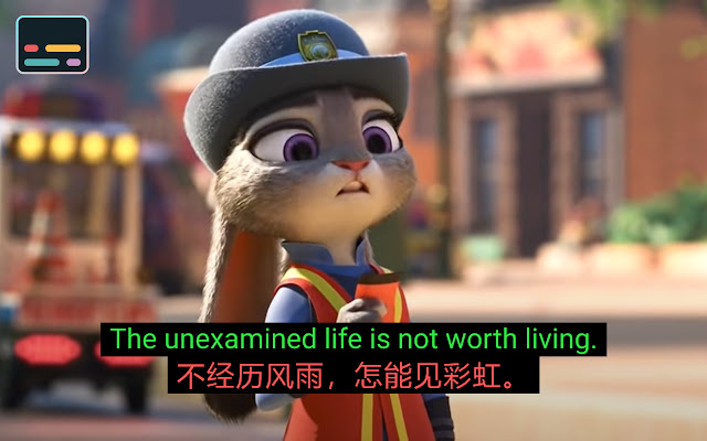 Chrome拓展：油管字幕扩展 — YouTube™ 双字幕