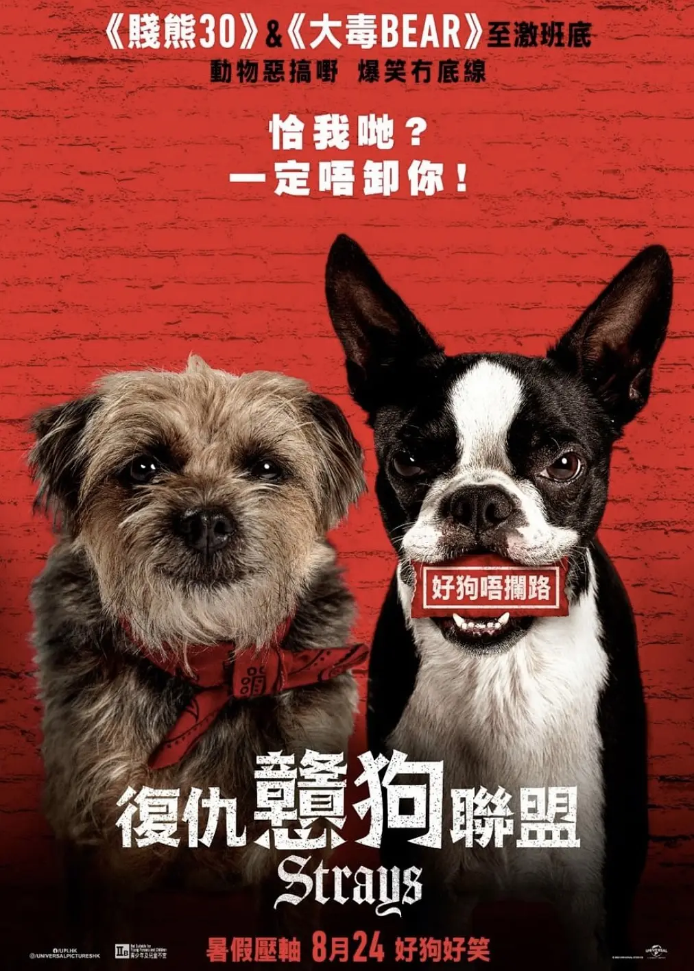 流浪狗 Strays (2023) 4K2160P HDR 简英双语字幕 豆瓣: 7.3