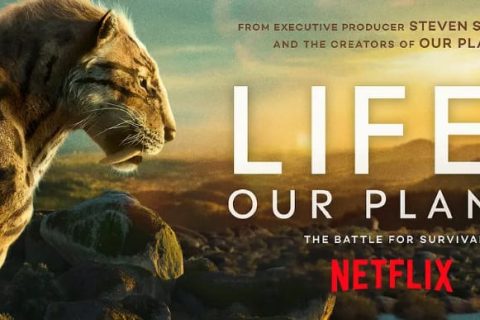 #Netflix 我们星球上的生命 Life on Our Planet (2023) 4K HDR & Dv 中字内嵌字幕