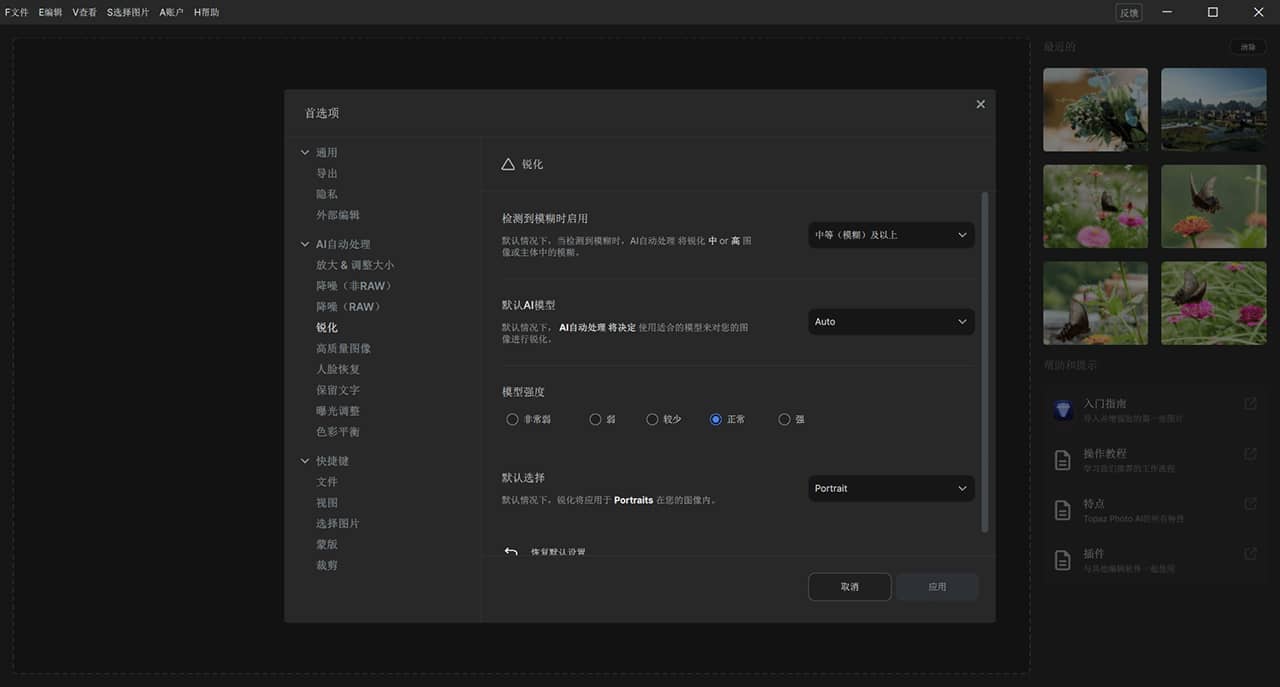 Topaz Photo AI中文破解版