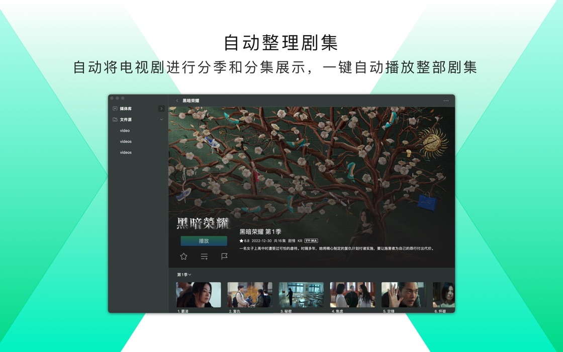 比 Infuse 更适合的全能播放神器 VidHub / 支持 iOS & macOS & tvOS