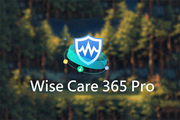 Wise Care 365 Pro v7.3.5 精简优化版绿色单文件版