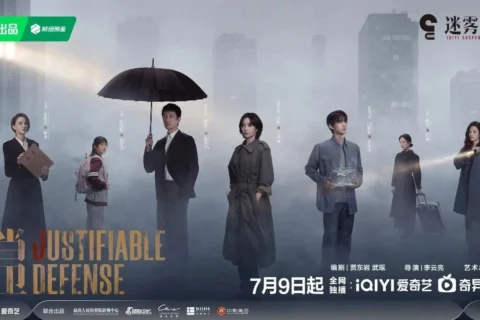 正当防卫 (2025) 4K 国语中字 #高叶 #张鲁一 #白敬亭 #张歆艺